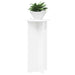 Suport pentru plante 2 pcs Alb Ø40 x 80 cm Lemn prelucrat - WALTI WALTI
