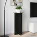 Suport pentru plante 2 pcs Negru 40 x 40 x 80 cm Lemn prelucrat - WALTI WALTI