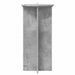 Suport pentru plante 2 pcs Gri Beton 40 x 40 x 80 cm - WALTI WALTI