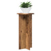 Suport pentru plante 2 pcs Lemn vechi 40 x 40 x 80 cm - WALTI WALTI