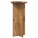 Suport pentru plante 2 pcs Lemn vechi 29,5 x 29,5 x 60 cm - WALTI WALTI