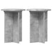 Suport pentru plante 2 pcs Gri Beton Ø29,5 x 40 cm - WALTI WALTI