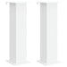 Suport pentru plante 2 pcs Alb 30,5 x 30 x 100,5 cm - WALTI WALTI