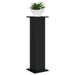 Suport pentru plante 2 pcs Negru 30,5 x 30 x 100,5 cm - WALTI WALTI