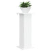 Suport pentru plante Alb 30,5 x 30 x 80,5 cm Lemn prelucrat - WALTI WALTI