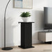 Suport pentru plante Negru 30,5 x 30 x 60,5 cm Lemn prelucrat - WALTI WALTI