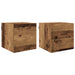 Cabinet TV Lemn vechi 30,5 x 30 x 30 cm Lemn compozit - WALTI WALTI