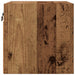 Cabinet TV Lemn vechi 30,5 x 30 x 30 cm Lemn compozit - WALTI WALTI