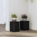 Suport pentru plante 2 pcs Stejar Negru 15 x 15 x 20 cm - WALTI WALTI
