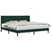 Cadru de pat cu headboard Verde închis 200 x 200 cm Catifea - WALTI WALTI