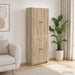 Set de Dulapuri 2 pcs Stejar Sonoma 66 x 34,5 x 90 cm - WALTI WALTI
