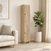 Set de Dulapuri 2 pcs Stejar Sonoma 34,5 x 33 x 90 cm - WALTI WALTI