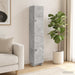 Set de Dulapuri 2 pcs Gri Beton 34,5 x 33 x 90 cm - WALTI WALTI