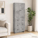 Set de Dulapuri 2 pcs Gri Beton 66 x 34,5 x 90 cm - WALTI WALTI