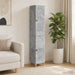 Set de Dulapuri 2 pcs Gri Beton Lemn prelucrat - WALTI WALTI