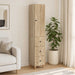 Set de Dulapuri 2 pcs 33 x 34,5 x 90 cm Lemn prelucrat - WALTI WALTI