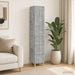 Set de Dulapuri 2 pcs 33 x 34,5 x 90 cm Lemn prelucrat - WALTI WALTI
