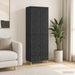 Set de Dulapuri 2 pcs Negru Lemn prelucrat - WALTI WALTI