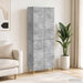 Set de Dulapuri 2 pcs Gri Beton Lemn prelucrat - WALTI WALTI