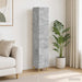 Set de Dulapuri 2 pcs Gri Beton Lemn prelucrat - WALTI WALTI