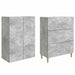 Set de Dulapuri 2 pcs Gri Beton 66 x 34,5 x 90 cm - WALTI WALTI