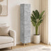 Set de Dulapuri 2 pcs Gri Beton 33 x 34,5 x 90 cm - WALTI WALTI