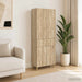 Set de Dulapuri 2 pcs Lemn prelucrat - WALTI WALTI