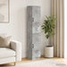 Set de Dulapuri 2 pcs Gri Beton Lemn prelucrat - WALTI WALTI