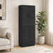 Set de Dulapuri 2 pcs Negru 66 x 34,5 x 87 cm Lemn prelucrat - WALTI WALTI