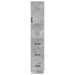 Set de Dulapuri 2 pcs Gri Beton 33 x 34,5 x 87 cm - WALTI WALTI