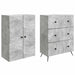 Set de Dulapuri 2 pcs Gri Beton 66 x 34,5 x 90 cm - WALTI WALTI
