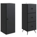 Set de Dulapuri 2 pcs Negru 34,5 x 34,5 x 90 cm Lemn prelucrat - WALTI WALTI