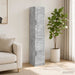 Set de Dulapuri 2 pcs Gri Beton Lemn prelucrat - WALTI WALTI
