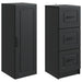 Set de Dulapuri 2 pcs Negru 33 x 34,5 x 87 cm Lemn prelucrat - WALTI WALTI