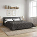 Duvet complet pe tot parcursul anului Antracit 200 x 200 cm - WALTI WALTI