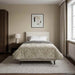 Duvet complet pe tot parcursul anului Gri deschis 135 x 200 cm - WALTI WALTI
