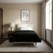 Duvet complet pe tot parcursul anului Patos Negru 135 x 220 cm - WALTI WALTI