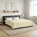 Duvet de iarnă Crem 200 x 240 cm Microfibră și fleece Teddy - WALTI WALTI