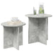 Set măsuțe laterale 2 pcs Gri Beton Lemn prelucrat - WALTI WALTI