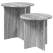 Set măsuțe laterale 2 pcs Sonoma gri Lemn prelucrat - WALTI WALTI