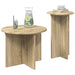 Set măsuțe laterale 2 pcs Stejar Sonoma Lemn prelucrat - WALTI WALTI