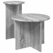 Set măsuțe laterale 2 pcs Sonoma gri Lemn prelucrat - WALTI WALTI