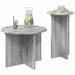 Set măsuțe laterale 2 pcs Sonoma gri Lemn prelucrat - WALTI WALTI