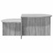Masă de cafea Sonoma gri 100 x 50 x 40 cm Lemn prelucrat - WALTI WALTI