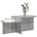 Masă de cafea Sonoma gri 100 x 50 x 40 cm Lemn prelucrat - WALTI WALTI