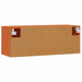 Dulap de perete Maroniu cerat 80 x 30 x 30 cm Lemn de pin masiv - WALTI WALTI