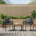 Set de Mobilier pentru Exterior 3 pcs Gri și gri închis - WALTI WALTI