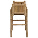Ghiveci pentru Grădină cu Suport natural 50 x 38 x 74 cm Bambus - WALTI WALTI