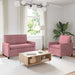Set de canapea 2 pcs Roz Catifea - WALTI WALTI