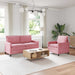 Set de canapea 2 pcs Roz Catifea - WALTI WALTI